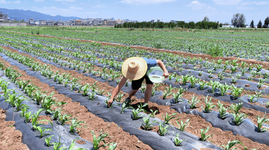 BASF, Yuntianhua renew Limus partnership, set 2030 emissions goal in China