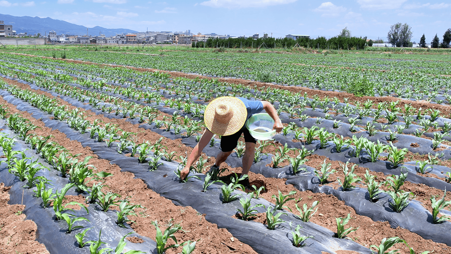 BASF, Yuntianhua renew Limus partnership, set 2030 emissions goal in China