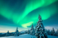 Higher water levels could turn cultivated Arctic peatlands into a carbon sink