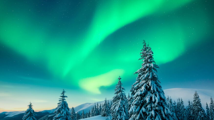 Higher water levels could turn cultivated Arctic peatlands into a carbon sink