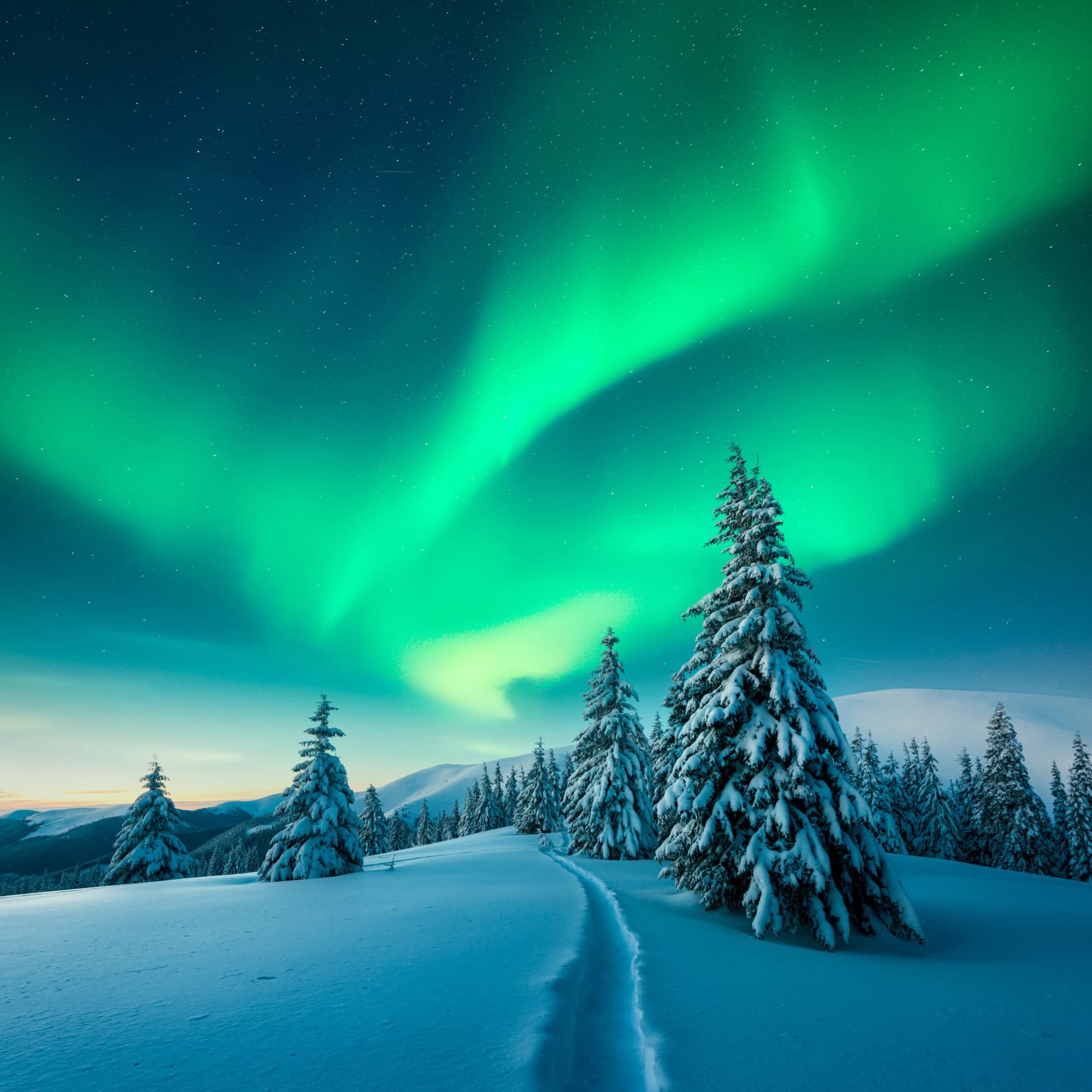 Higher water levels could turn cultivated Arctic peatlands into a carbon sink