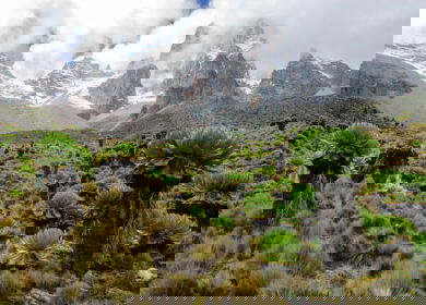 Kenya’s highland farmers experiment with no-till, crop diversity, and data-driven agronomy