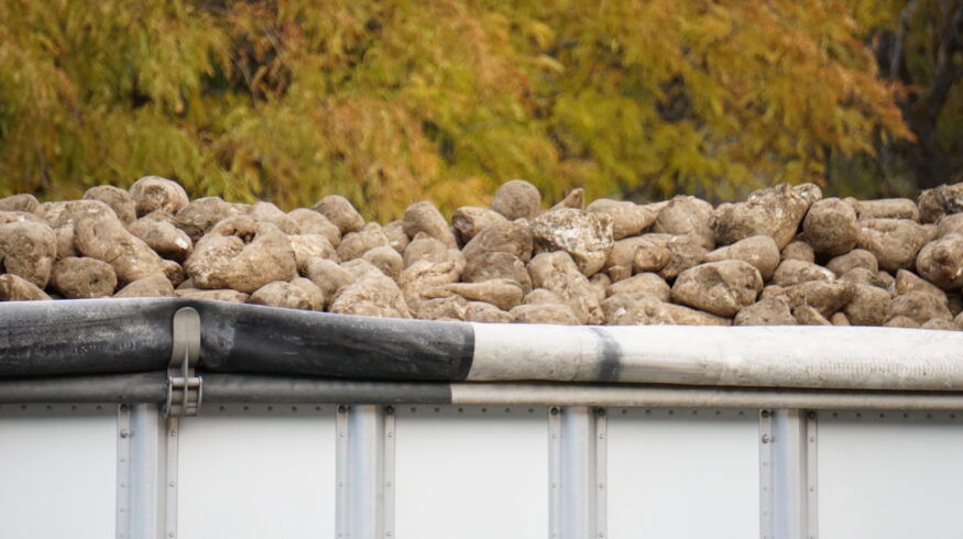 USDA unveils $150 million aid package for U.S. sugar farmers