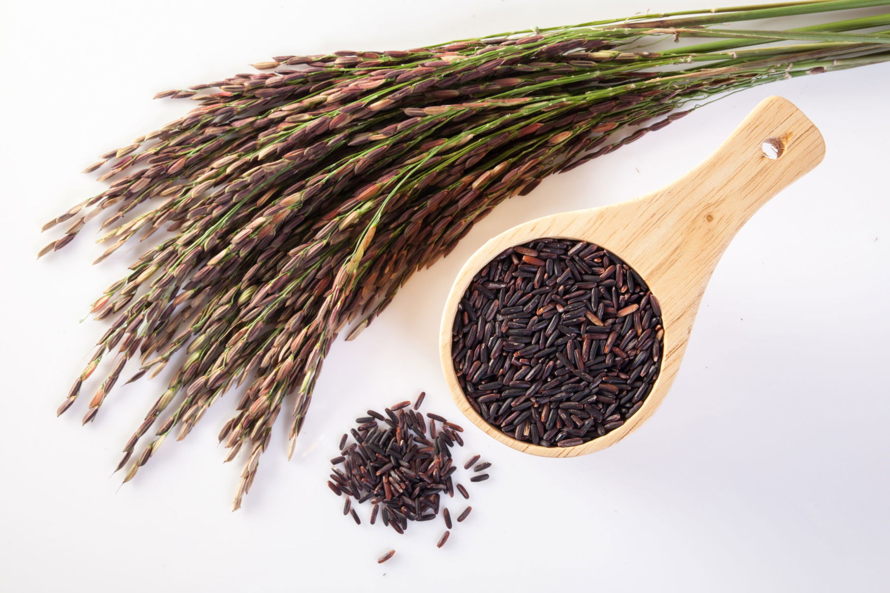 US research accelerates AI-driven rice breeding to raise yields and target premium grain markets