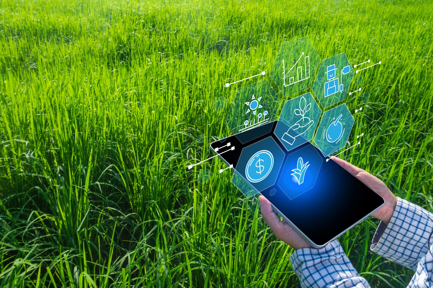 Guyana to launch national agriculture app as digital data center nears completion