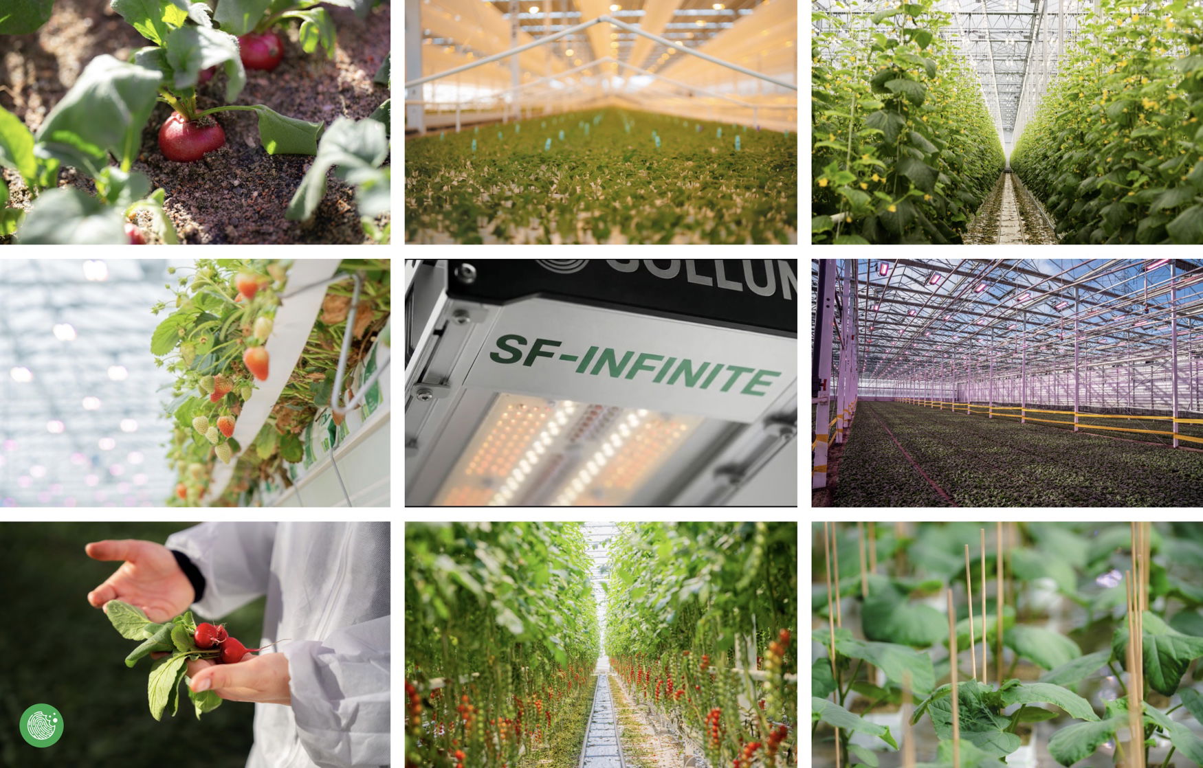 Sollum launches SF-INFINITE dynamic LED platform for commercial greenhouses