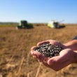 Kazakhstan expands seed breeding capacity with new processing plant