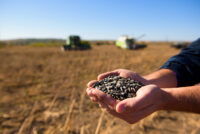 Kazakhstan expands seed breeding capacity with new processing plant