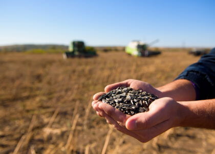 Kazakhstan expands seed breeding capacity with new processing plant