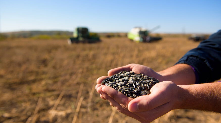 Kazakhstan expands seed breeding capacity with new processing plant