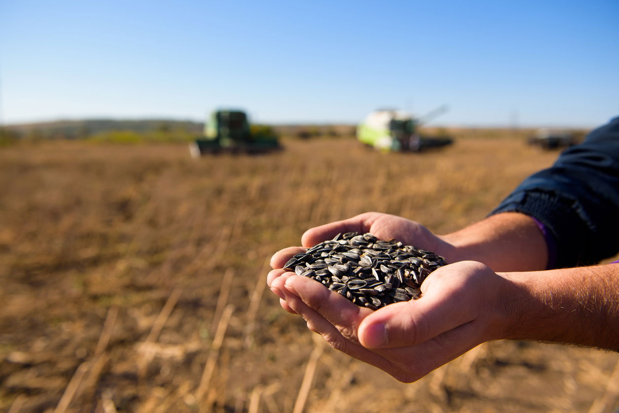Kazakhstan expands seed breeding capacity with new processing plant