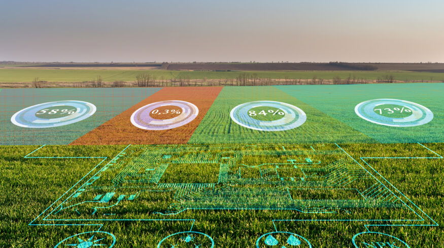 India bets on AI to drive next farm productivity surge