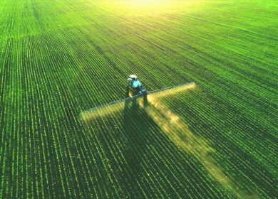 BASF receives EPA approval for Engenia herbicide after prior court ban