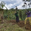 Rwanda Fertilizer Company and One Acre Fund will expand fertilizer access for smallholder farmers