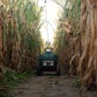 Upside Robotics targets fertilizer waste in corn with autonomous field robots