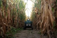 Upside Robotics targets fertilizer waste in corn with autonomous field robots