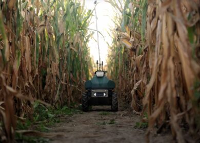 Upside Robotics targets fertilizer waste in corn with autonomous field robots