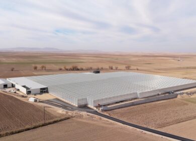 Turkey’s W Agro Park launches 4-hectare geothermal glass greenhouse targeting EU tomato exports