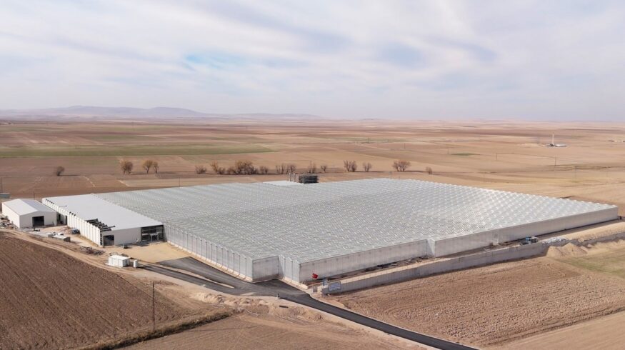 Turkey’s W Agro Park launches 4-hectare geothermal glass greenhouse targeting EU tomato exports