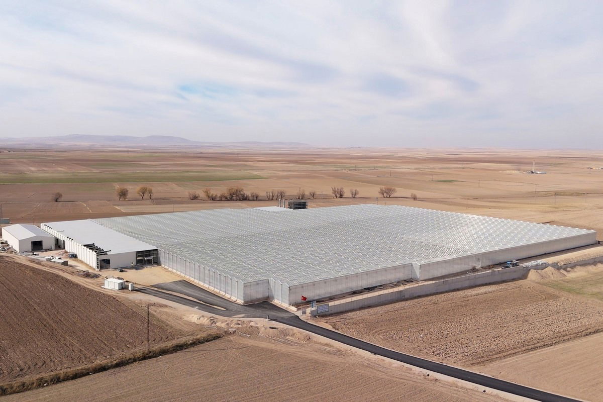 Turkey’s W Agro Park launches 4-hectare geothermal glass greenhouse targeting EU tomato exports