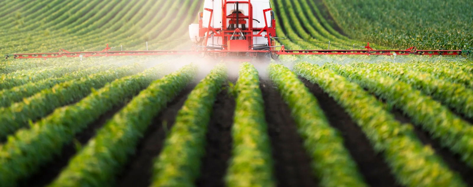 Proxag launches crop protection company with Brazil manufacturing base