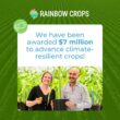 Rainbow Crops receives $7 million Gates Foundation grant for climate-resilient crop research