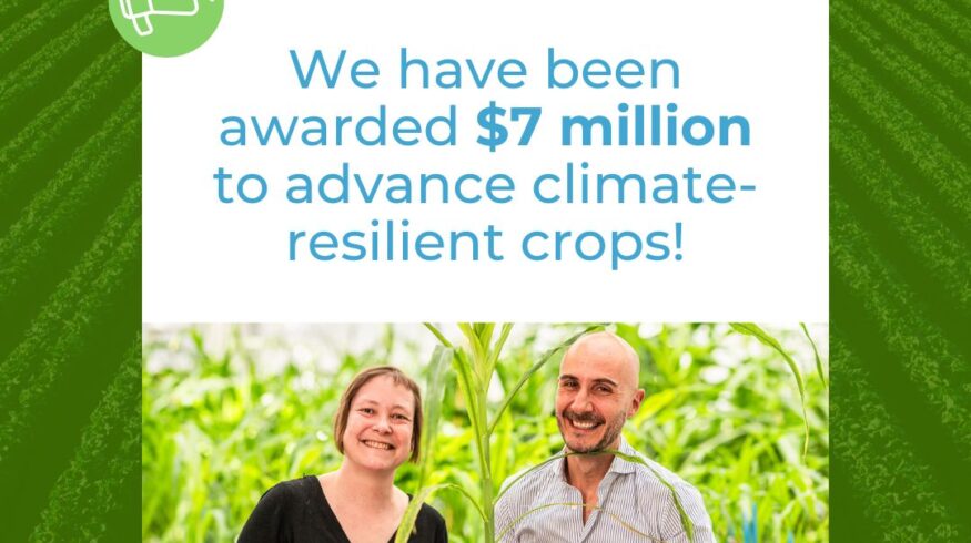Rainbow Crops receives $7 million Gates Foundation grant for climate-resilient crop research