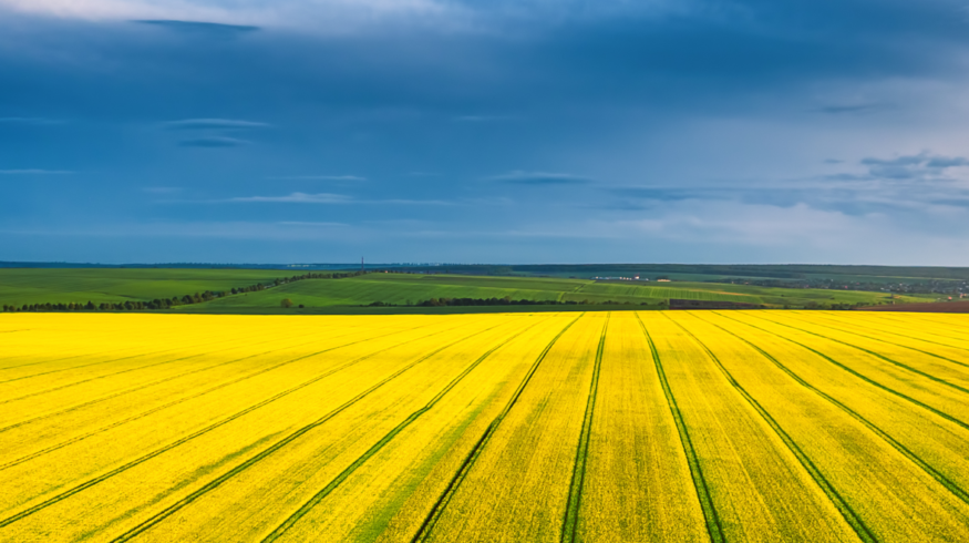 Grupa Azoty introduces sulphur-based fertilizer as it reinforces core business