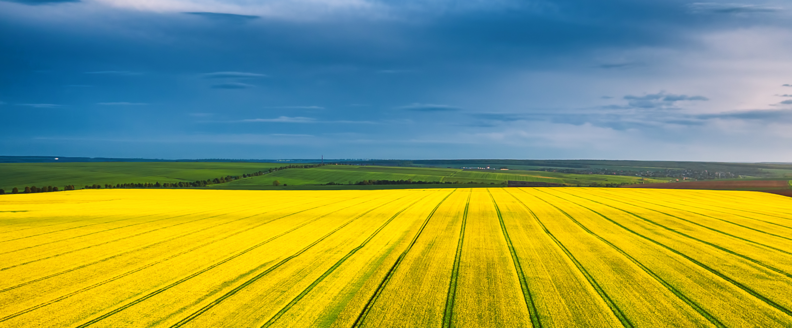 Grupa Azoty introduces sulphur-based fertilizer as it reinforces core business