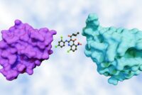 Bindbridge raises $3.8 million to accelerate AI-driven crop protection