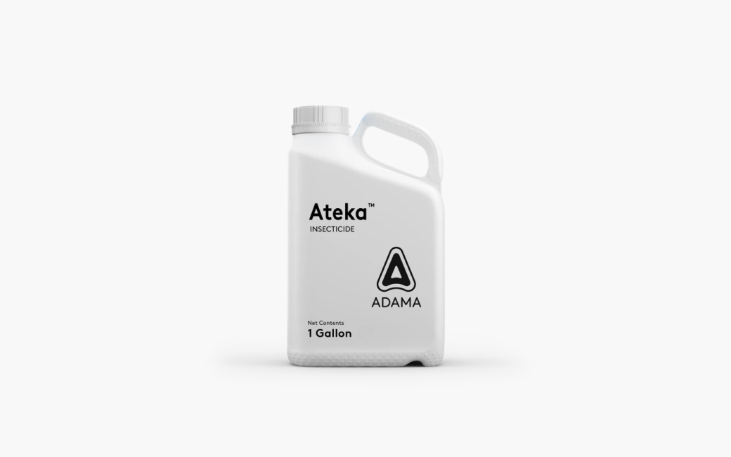 ADAMA launches Ateka insecticide to combat sucking pests in fruit and vegetable crops