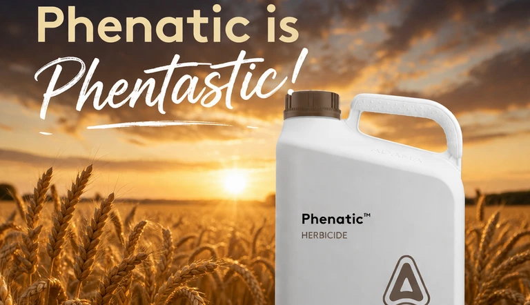 ADAMA launches Phenatic herbicide to bolster cereal weed control programs
