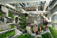 Canopii aims to prove small autonomous greenhouses can succeed where indoor farms failed