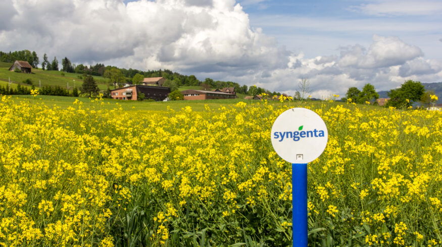 Syngenta loses appeal as Swiss court upholds chlorothalonil ban