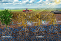 Deep plowing shown to weaken soil resilience, new study finds