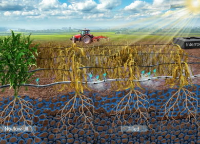 Deep plowing shown to weaken soil resilience, new study finds