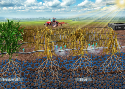 Deep plowing shown to weaken soil resilience, new study finds