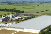 Dyson Farming backs low-input potato project to cut fertilizer and fungicide use