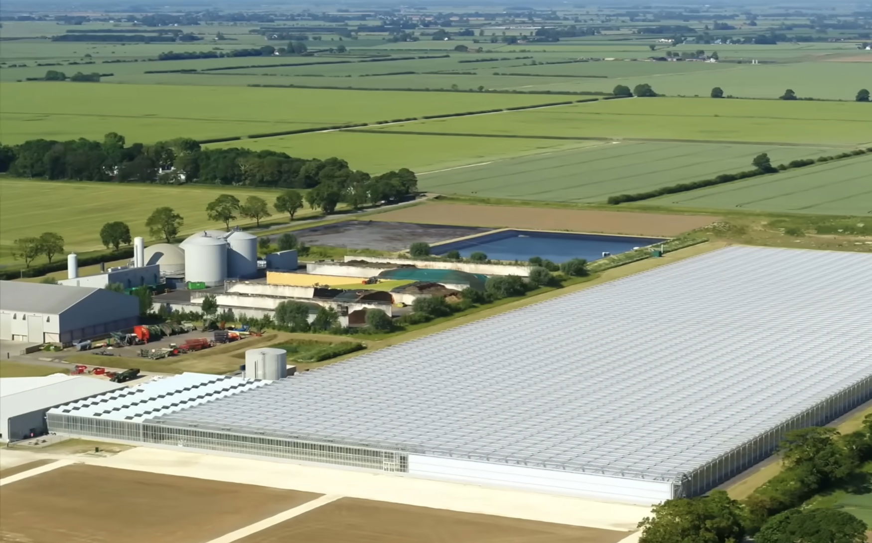 Dyson Farming backs low-input potato project to cut fertilizer and fungicide use