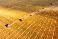 Kazakhstan wheat exports near record as feed flour shipments to China surge