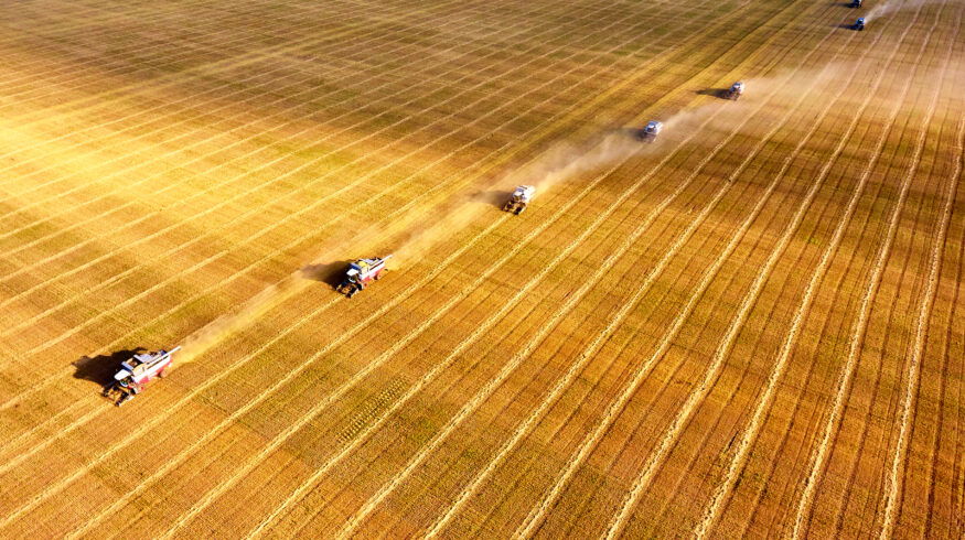 Kazakhstan wheat exports near record as feed flour shipments to China surge