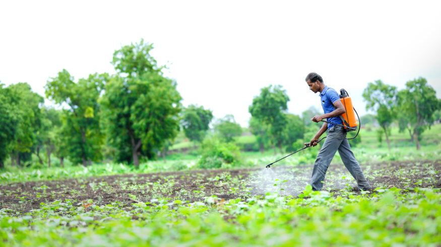 India seeks alternative fertilizer supplies to secure stocks ahead of summer season
