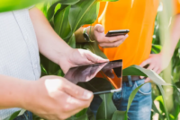 KWS deepens AI tie-up with Agvolution to sharpen farm-level decisions