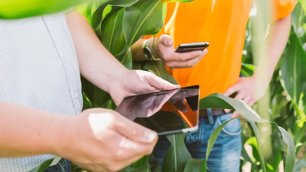 KWS deepens AI tie-up with Agvolution to sharpen farm-level decisions