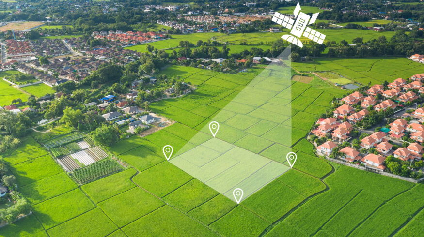 How AI and satellite monitoring are boosting global agricultural production