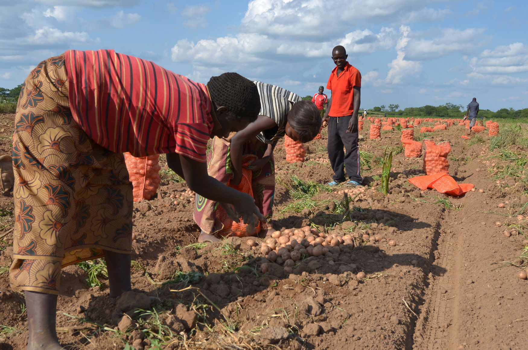 Zambia launches soil partnership and farmer training program to educate local farmers