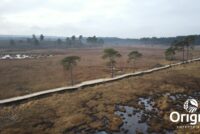 Origin Enterprises to acquire Northern Ireland distributor Clarendon Agricare