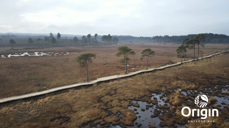 Origin Enterprises to acquire Northern Ireland distributor Clarendon Agricare