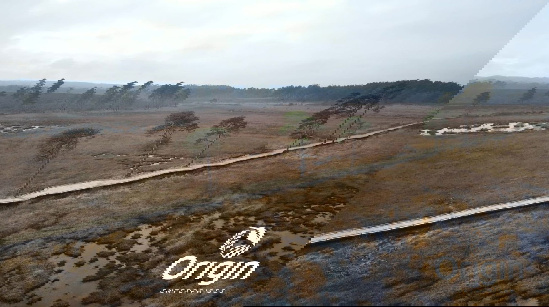 Origin Enterprises to acquire Northern Ireland distributor Clarendon Agricare