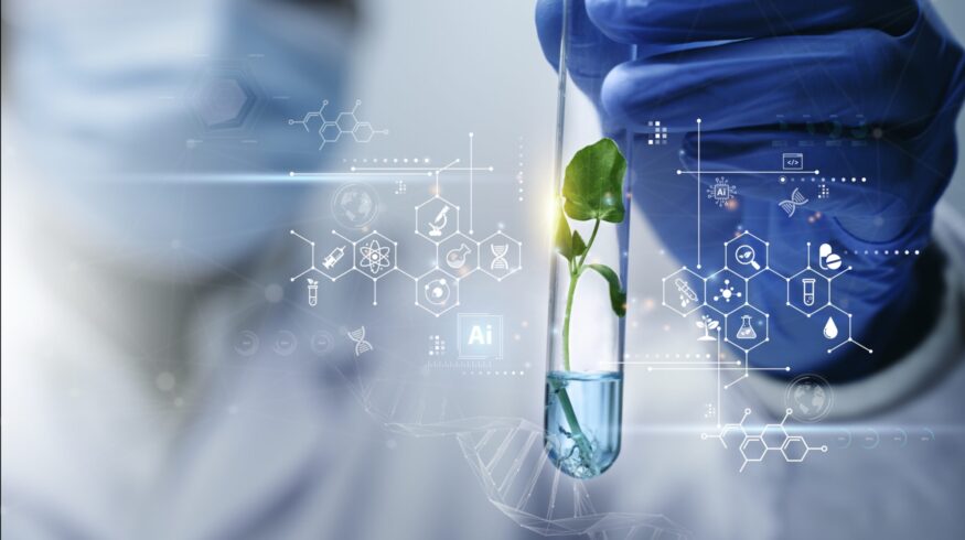 How modern agricultural laboratories are reshaping precision farming decisions